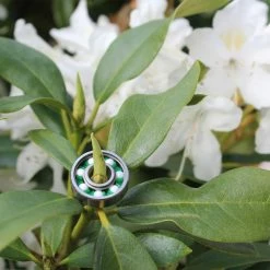 Blurs Bearings Titanium Ceramics (8 Pack) Parts